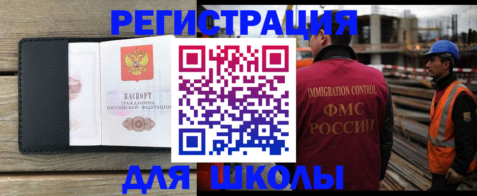 форма 3 в Сольцах